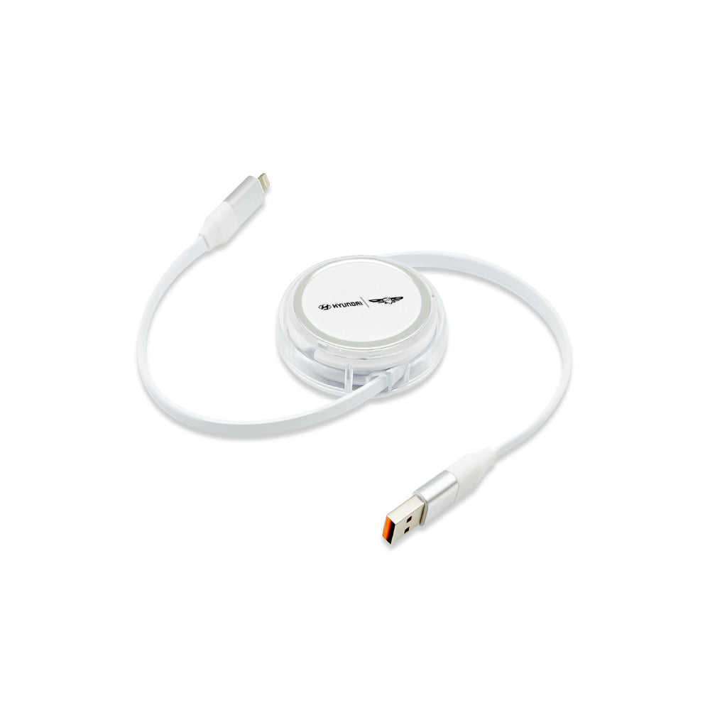 4-in-1 Retractable Cable with Interchangeable Connectors